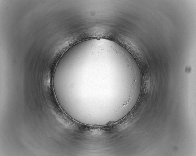 X0000093590310200710291128