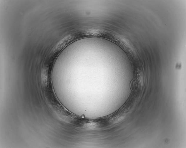 X0000093590312200710291128