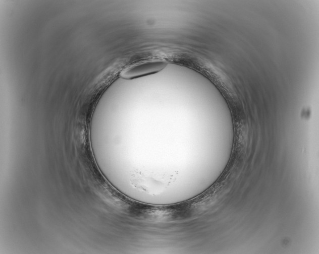 X0000093590313200710291128