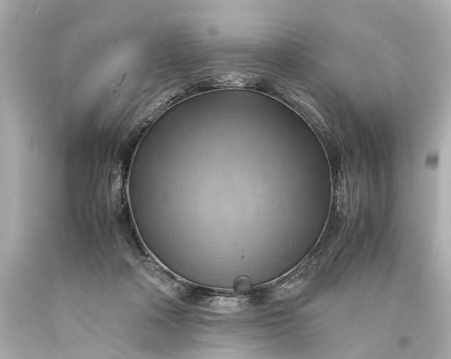 X0000093590314200710291128