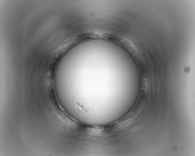 X0000093590318200710291128