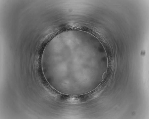X0000093590319200710291128