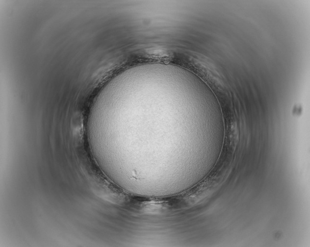 X0000093590320200710291128