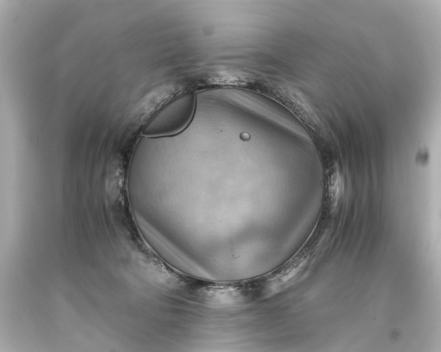 X0000093590322200710291128