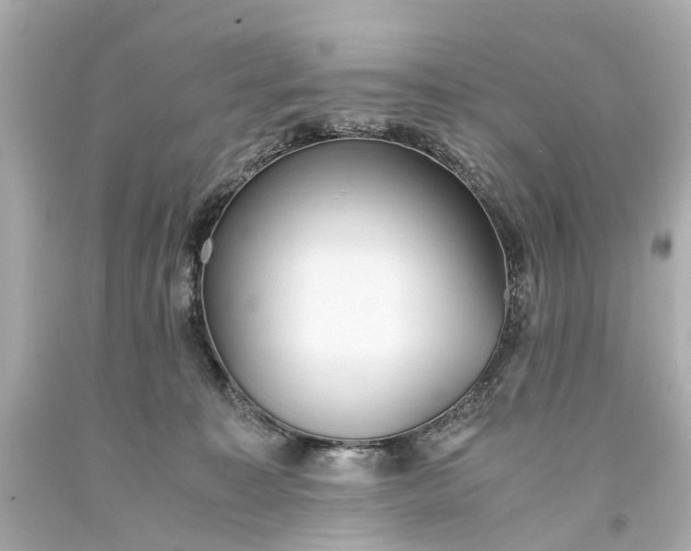 X0000093590323200710291128
