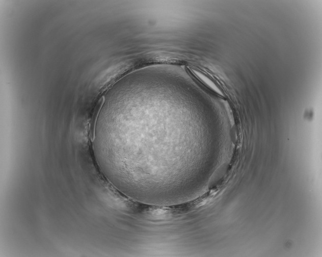 X0000093590325200710291128