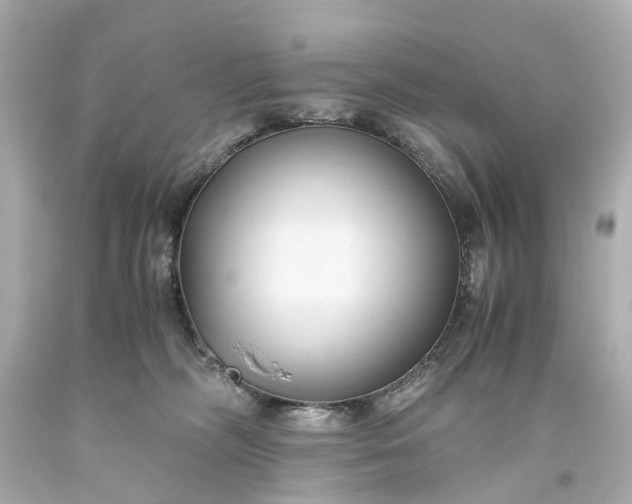 X0000093590326200710291127