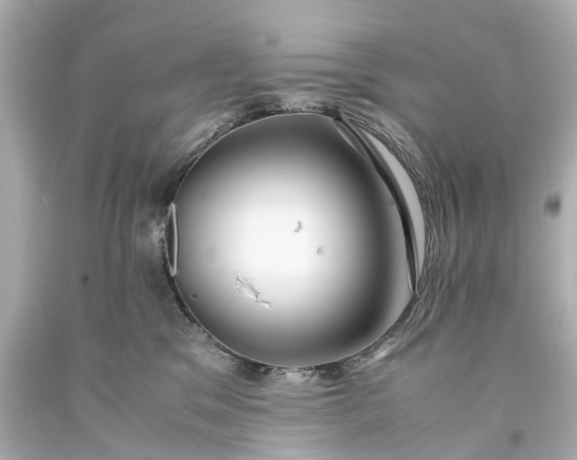 X0000093590329200710291127