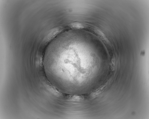 X0000093590330200710291127