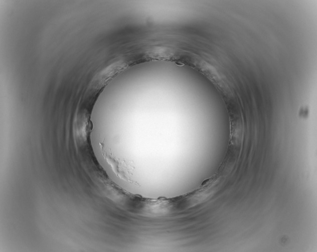 X0000093590334200710291127