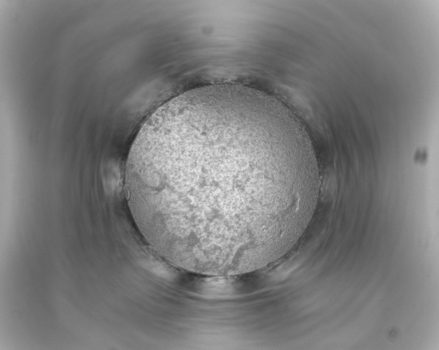 X0000093590335200710291127