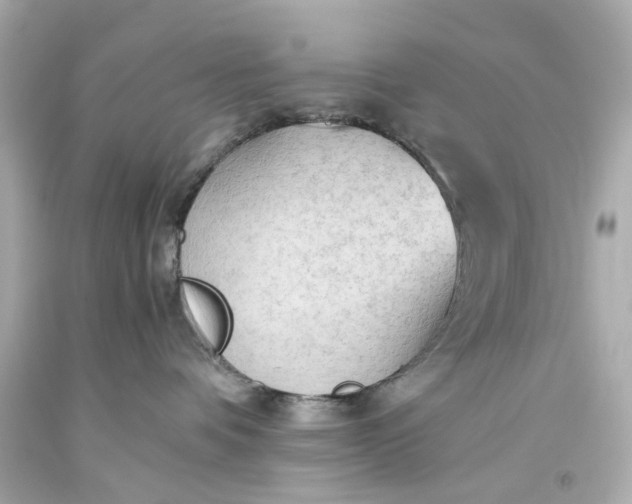 X0000093590336200710291127