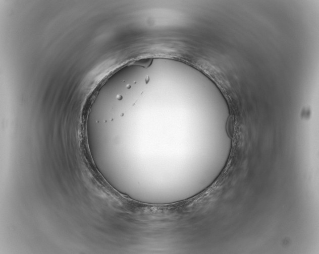 X0000093590338200710291127