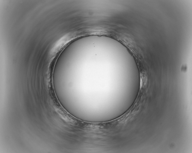 X0000093590339200710291127