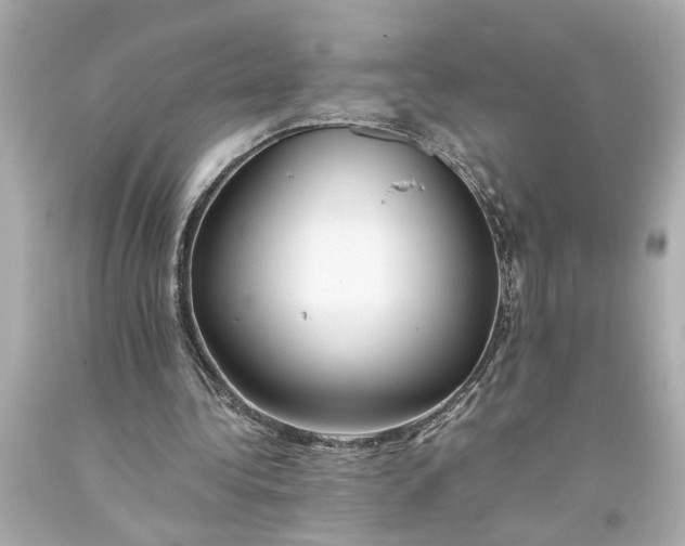 X0000093590340200710291127
