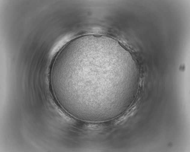 X0000093590341200710291127
