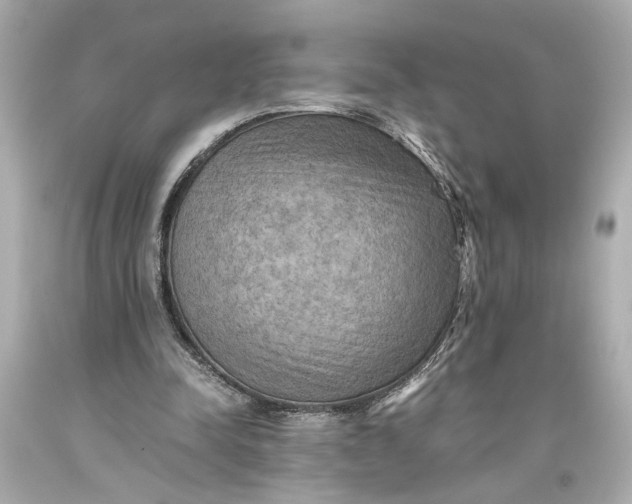 X0000093590342200710291127