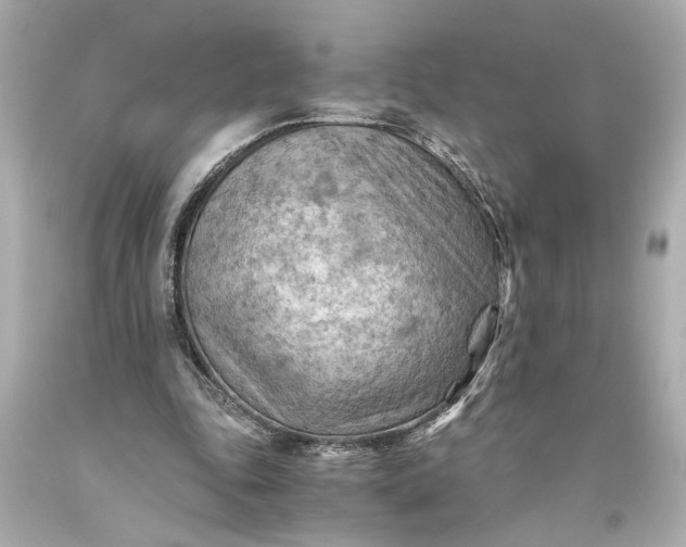 X0000093590343200710291127