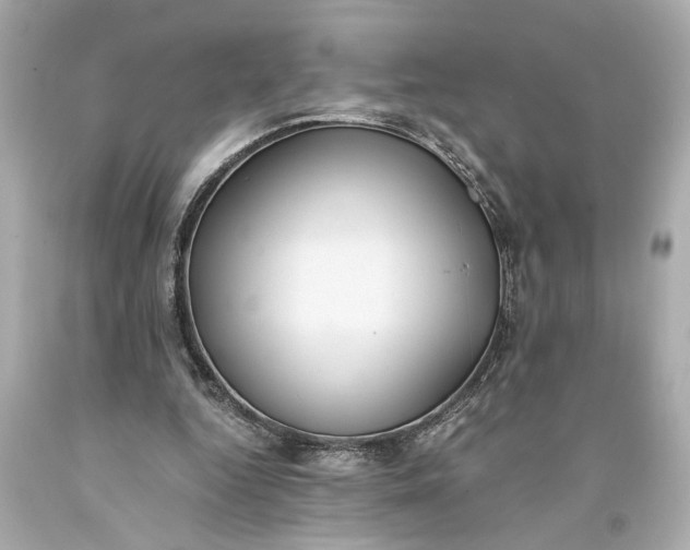 X0000093590344200710291127