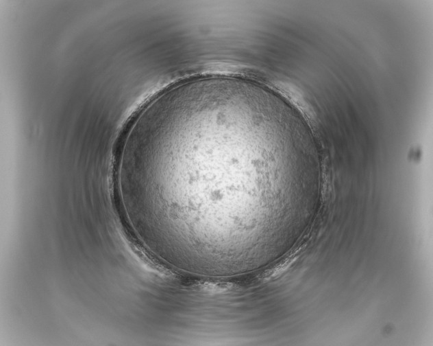 X0000093590346200710291127