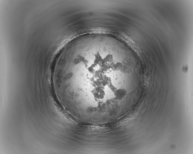 X0000093590347200710291127