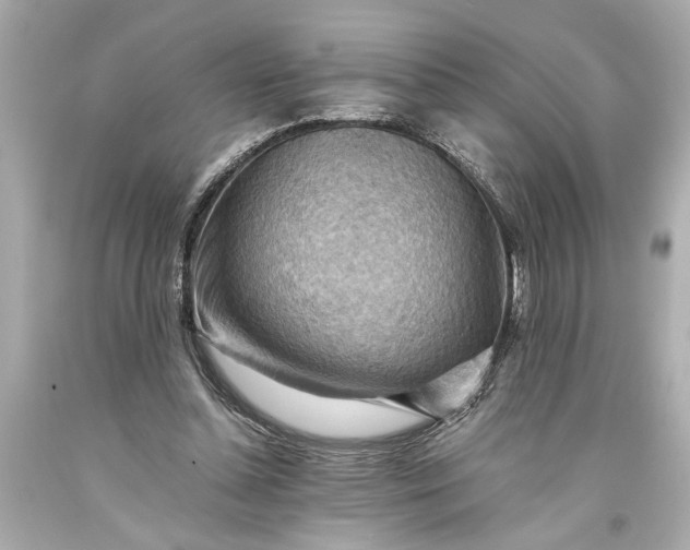 X0000093590348200710291127