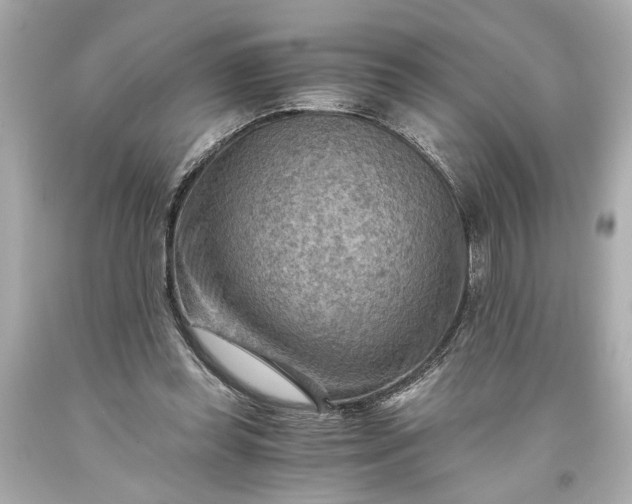 X0000093590349200710291127
