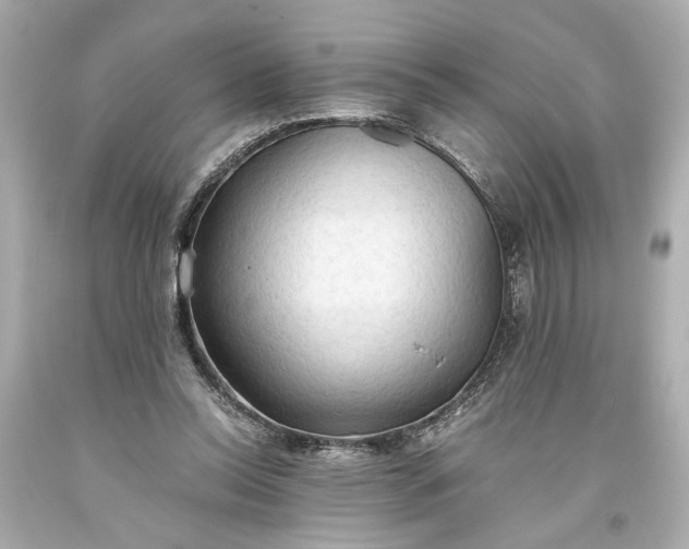 X0000093590350200710291127