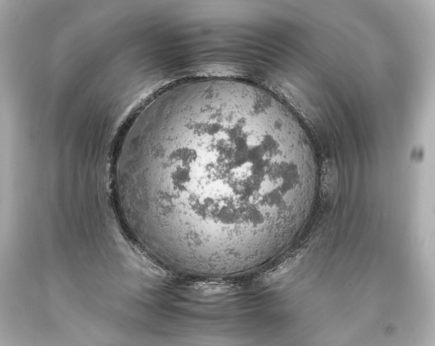 X0000093590351200710291127