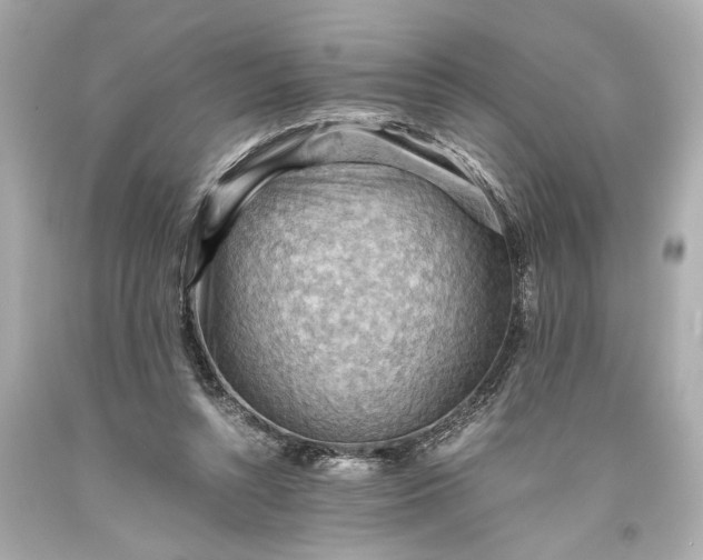X0000093590352200710291127