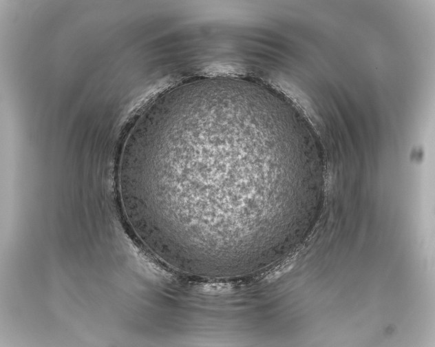 X0000093590353200710291127