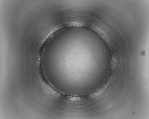 X0000093590355200710291127