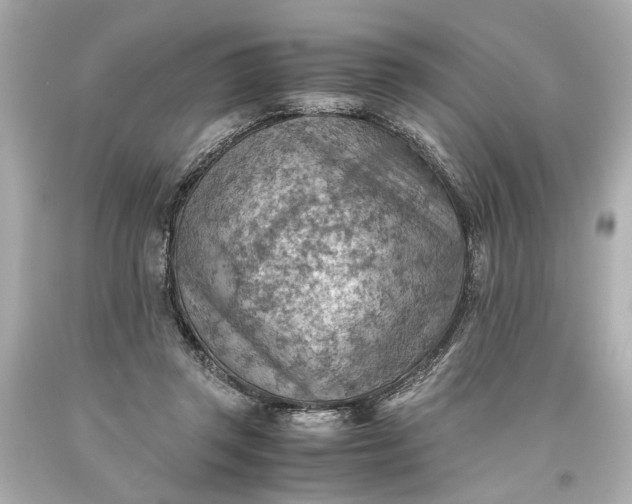 X0000093590357200710291127