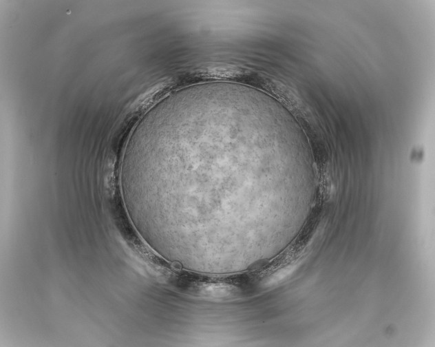X0000093590360200710291127