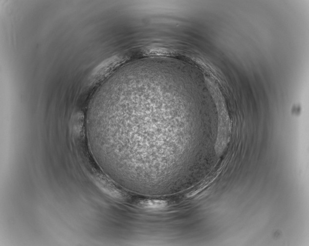 X0000093590361200710291127