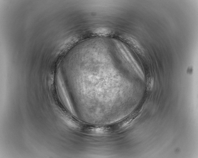 X0000093590365200710291127