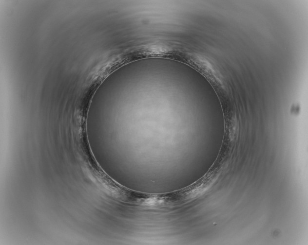 X0000093590366200710291127