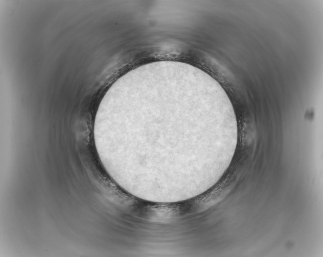 X0000093590370200710291127