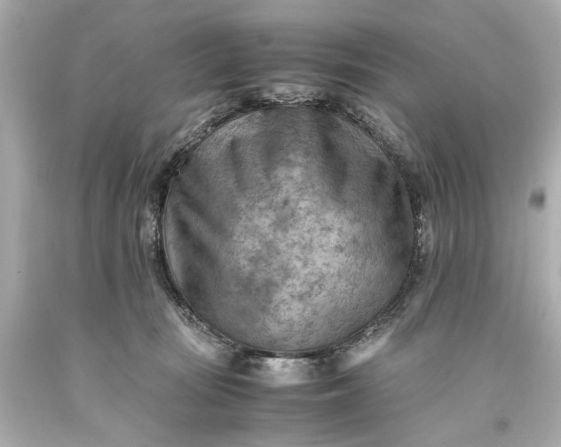 X0000093590371200710291127