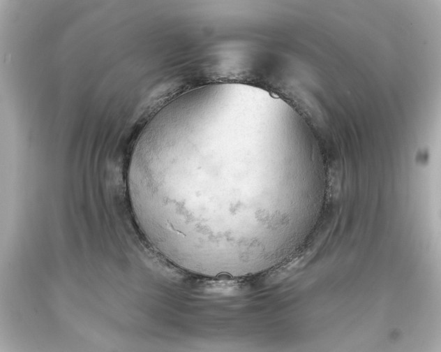 X0000093590377200710291127