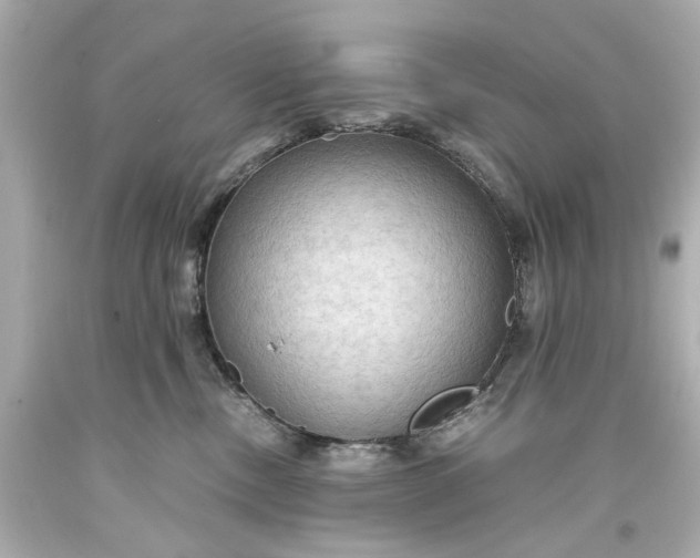 X0000093590378200710291127