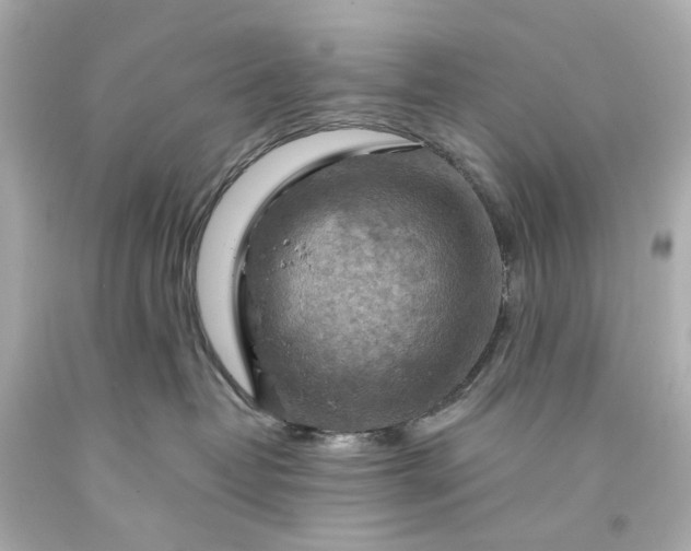 X0000093590382200710291127
