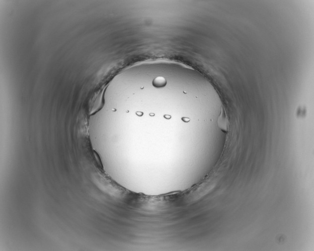X0000093590384200710291127