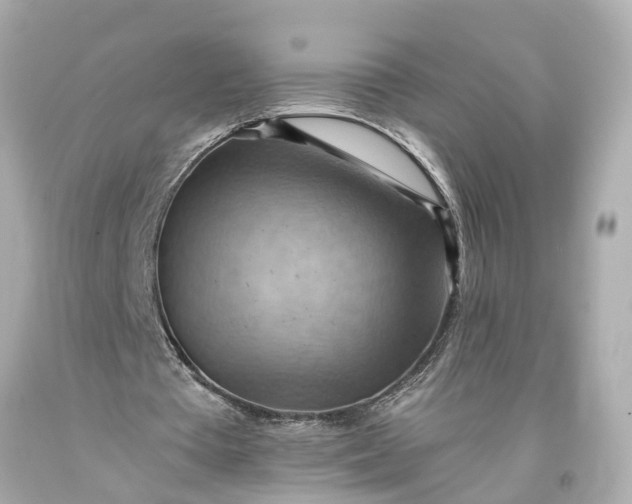 X0000093590385200710291127