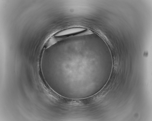 X0000093590386200710291127