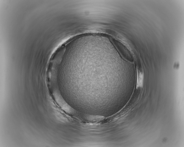 X0000093590387200710291127