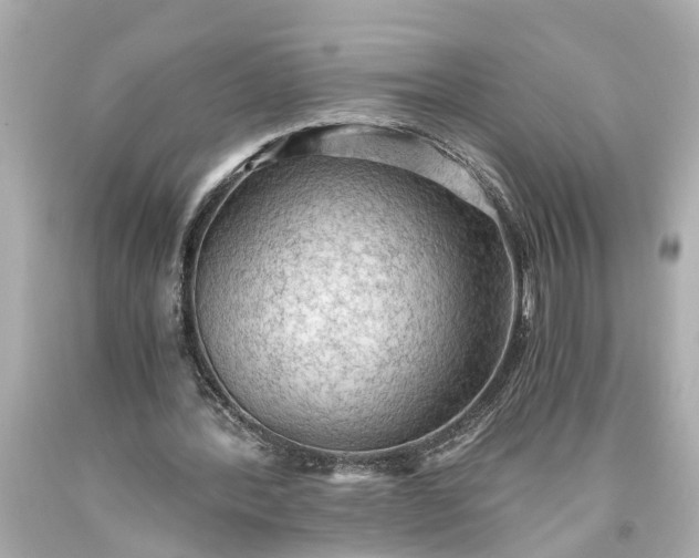 X0000093590388200710291127