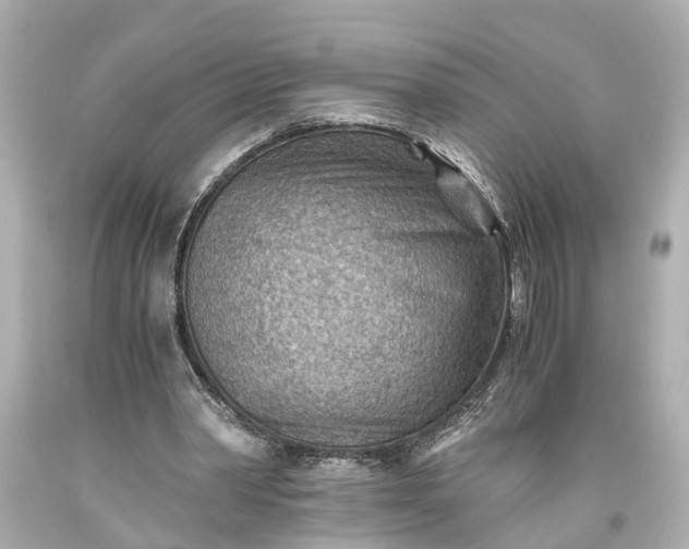 X0000093590390200710291127