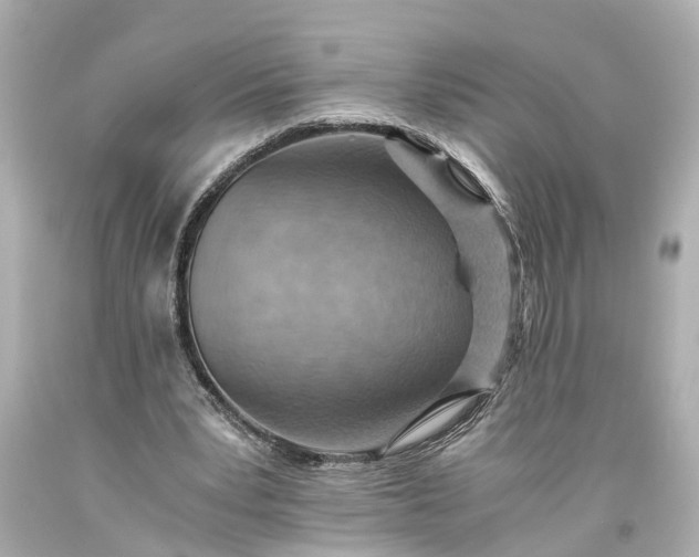 X0000093590391200710291127