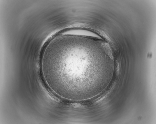 X0000093590392200710291127